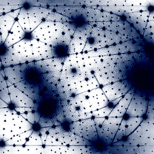 The Death of Altcoins? A Technical Autopsy of the Bitcoin Maximalist Narrative