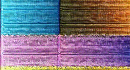 The $841,000 Signal: MiCA, Algorand, and the Quiet Mathematics of Compliance