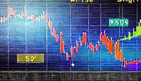 The Silence Between the Blocks: What an Empty Analysis Report Reveals About Our Data Obsession