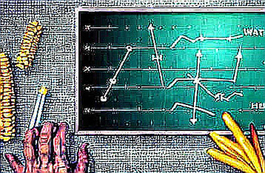 Grayscale Declares Bitcoin Bottom "Likely In" — But The Data Tells A More Complicated Story