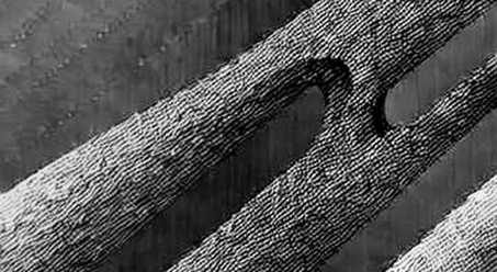 The $1.2 Trillion Ledger: Reading the G20's Trade Imbalance Playbook as On-Chain Data The $1.2 Trillion Ledger: Reading the G20's Trade Imbalance Playbook as On-Chain Data