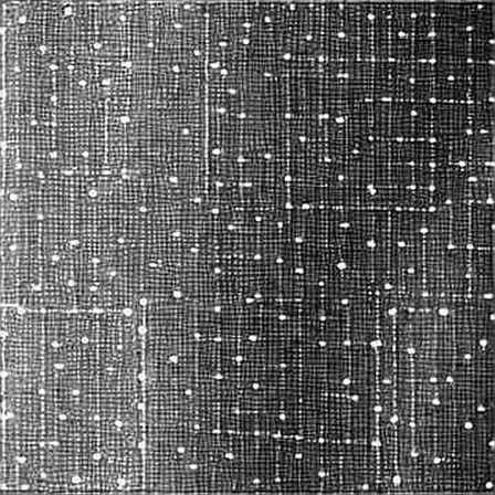 The Codex Quota Anomaly: When Context Compression Becomes a Silent Tax